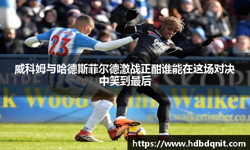 bsports官网入口