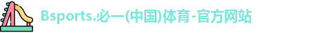 B体育官网